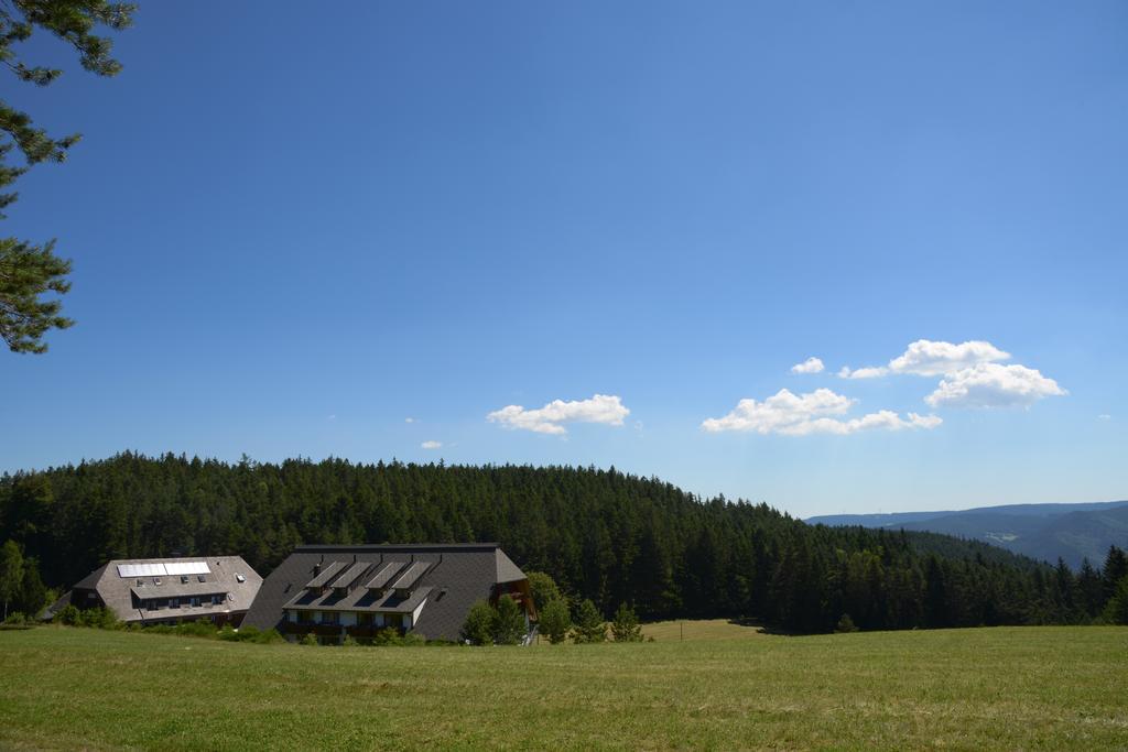 Hotel Schoene Aussicht Хорнберг Екстериор снимка